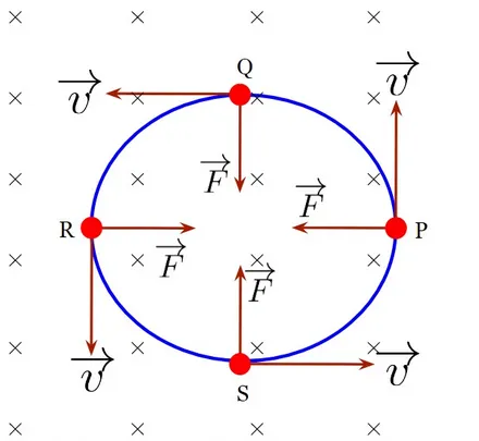 A charged particle undergoing circular motion in a magnetic field